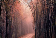 关于南美豪门再度挑战亚洲战队：殊死一战即将展开的信息